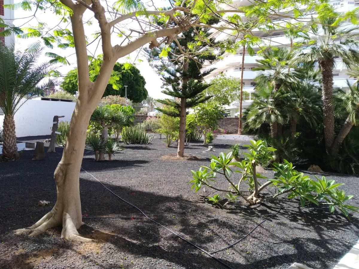 Vina Del Mar Apartment Playa de las Americas  Luaran gambar