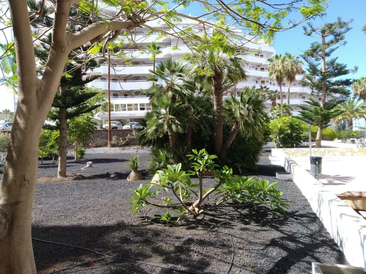 Vina Del Mar Apartment Playa de las Americas  Luaran gambar